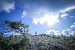 BIB: 5118
                            <button type="button" onclick="openModal(15955495)" class="btn btn-primary btn-sm float-right btn-popup" data-toggle="modal" data-target=".modal-high-quality">
                        <i class="fas fa-shopping-cart"></i> Add to Cart
                    </button>
                                            <button type="button" onclick="isThisMe(15955495, true)" class="btn btn-success btn-sm float-right btn-popup btn-isme hidden" data-toggle="tooltip" data-placement="bottom" title="นี่คือรูปของคุณใช่ไหม คลิกที่นี่เพื่อเอาเข้าอัลบั้ม">
                        <i class="fas fa-plus"></i> Add to album
                    </button>
                    <button type="button" onclick="isThisMe(15955495, false)" class="btn btn-warning btn-sm float-right btn-popup btn-isnotme hidden">
                        <i class="fas fa-ban"></i> Remove from album
                    </button>